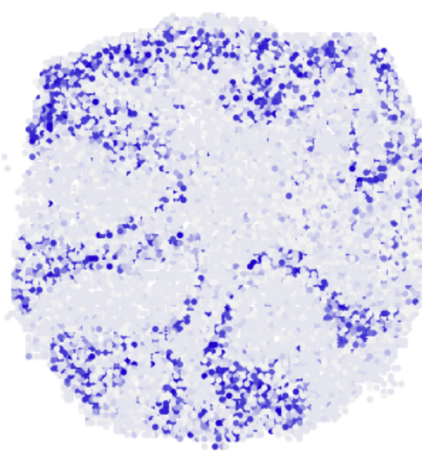 novoSpaRc spatial reconstruction visualization